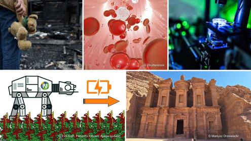 Consolidator Grants 2025: Examples of projects